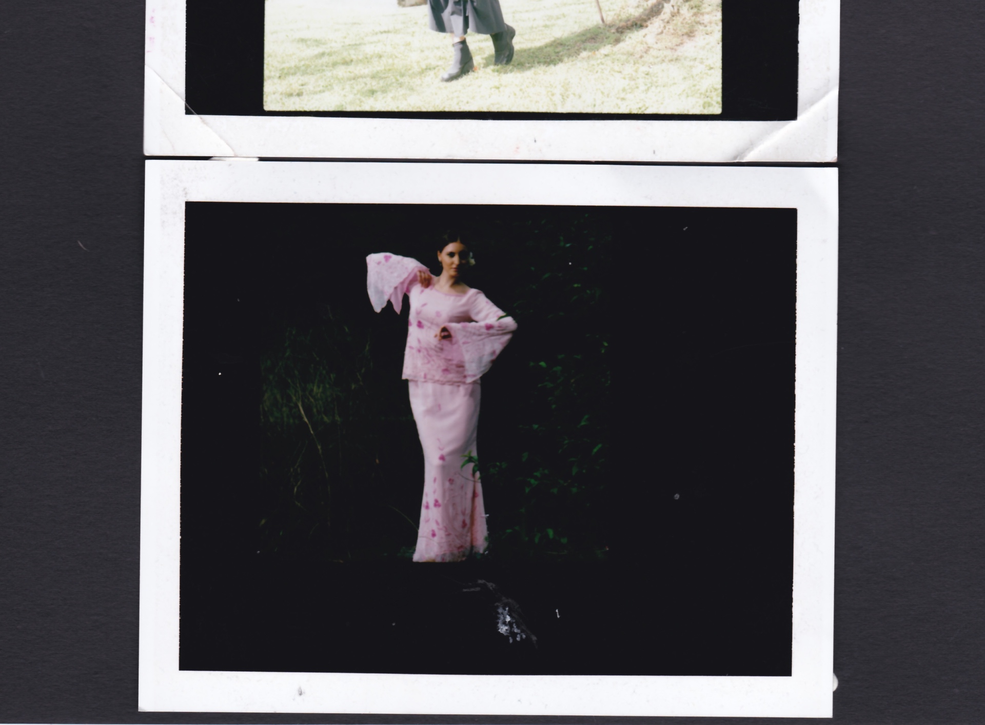 Pink, against the dark